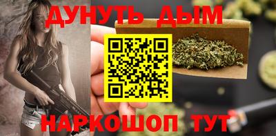 прущие крисы Моздок