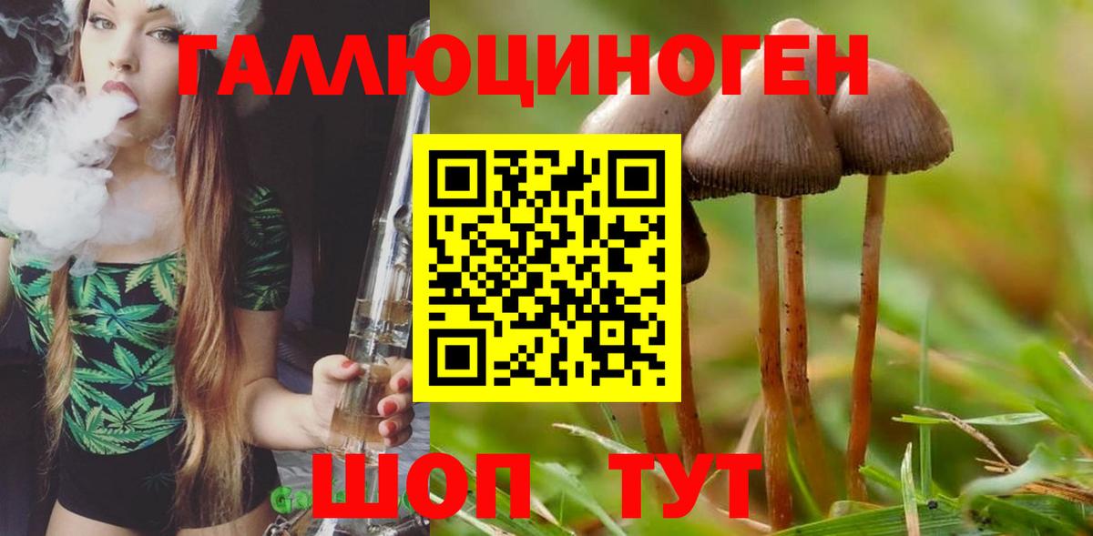 Хабаровск  Псилоцибиновые грибы Cubensis  Вход с VPN 
