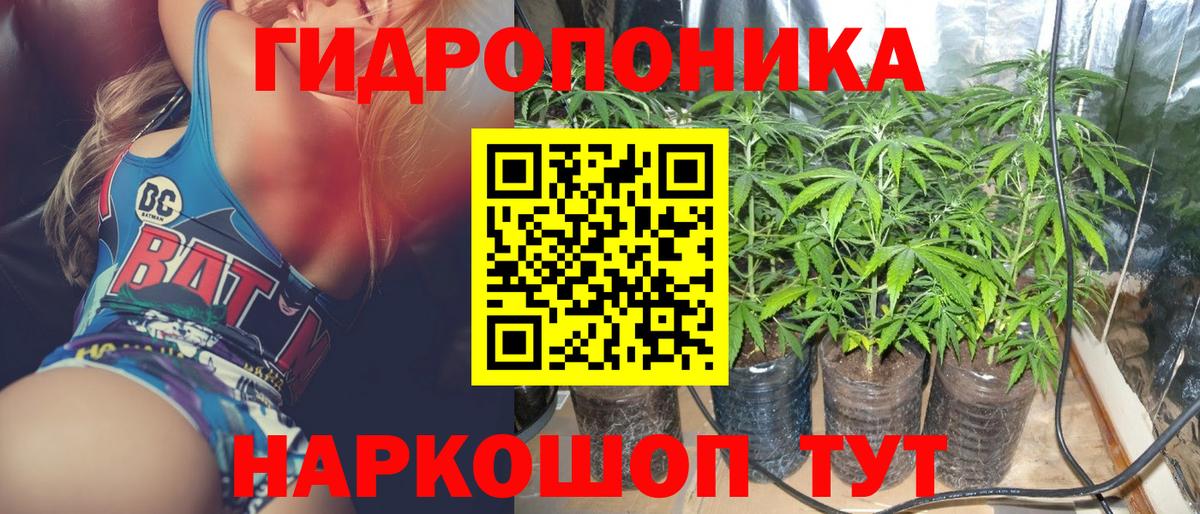 Конопля конопля Хабаровск